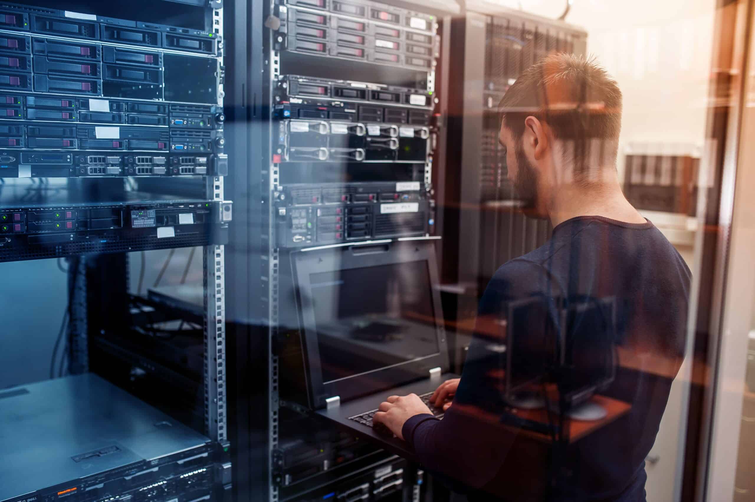 IT professional and support services