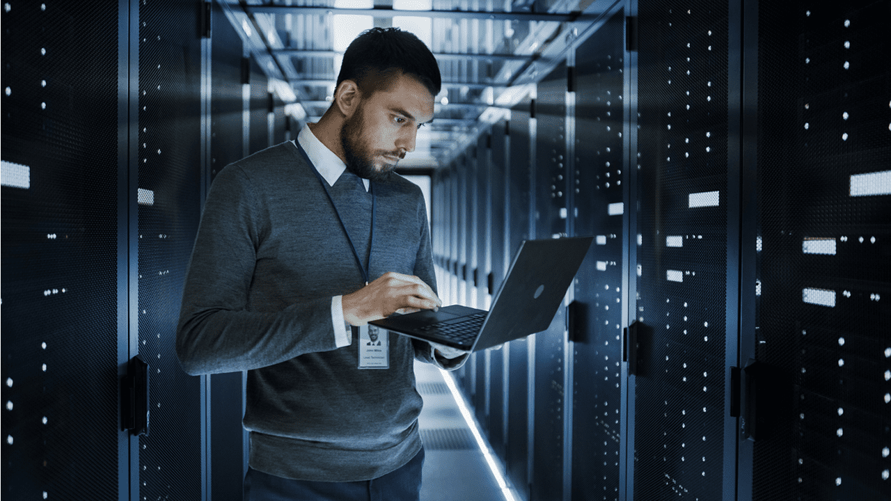 IT professional and support services